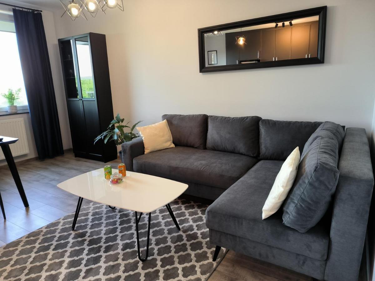 Apartament Stanczyka - 42M2 Krasków Εξωτερικό φωτογραφία